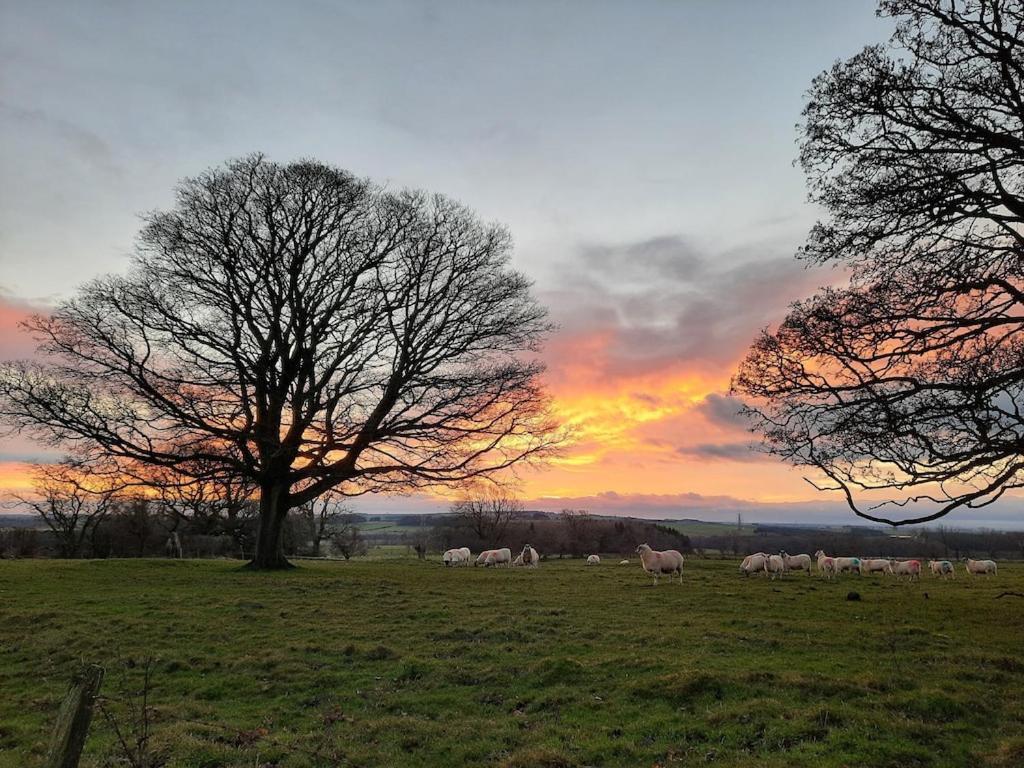 Holiday home Simonside Nr Rothbury